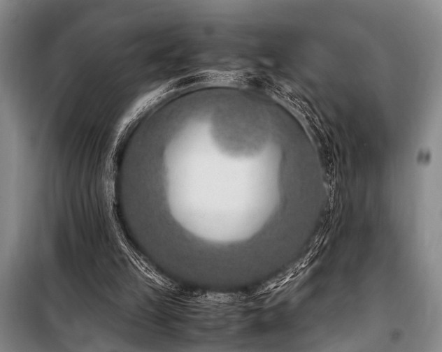 X0000101190149200806271324