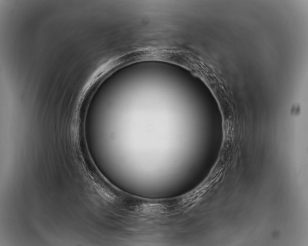 X0000101190150200806271324