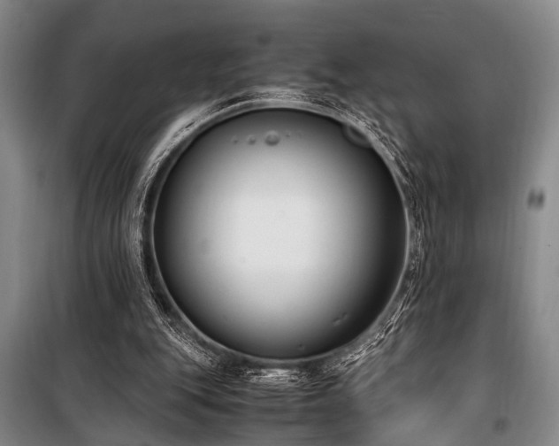 X0000101190151200806271324