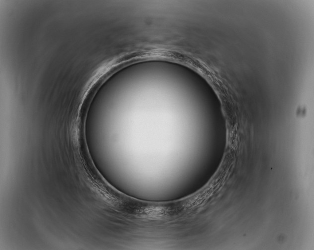 X0000101190152200806271324