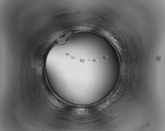 X0000101190153200806271324