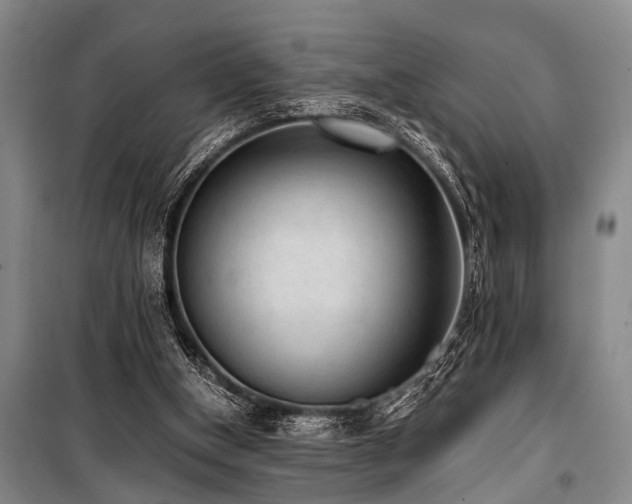 X0000101190154200806271324