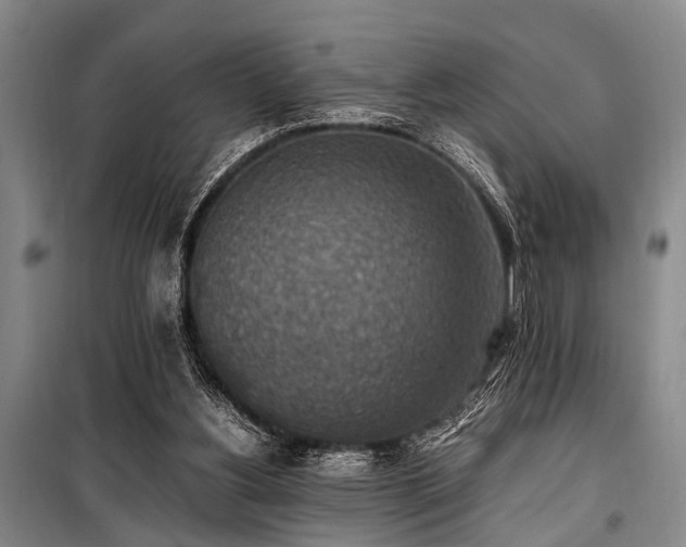 X0000101190156200806271324