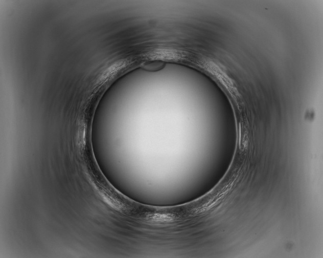 X0000101190157200806271324