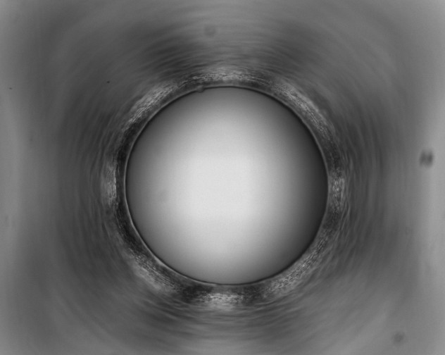 X0000101190158200806271324