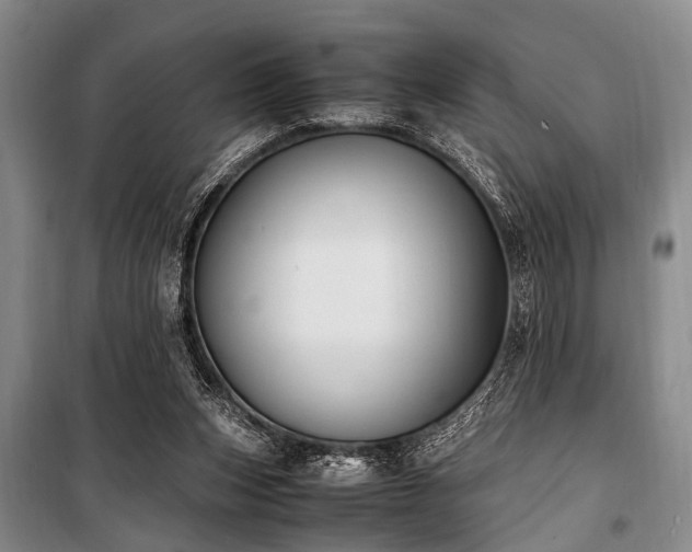 X0000101190159200806271325