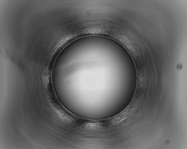 X0000101190160200806271325