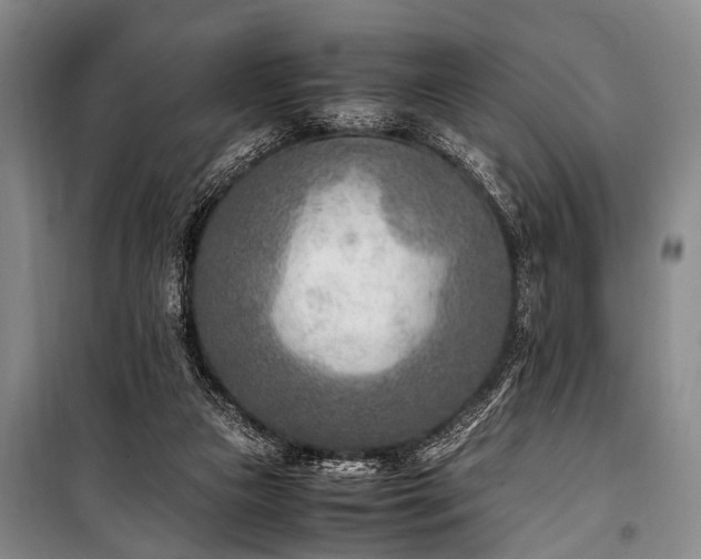 X0000101190161200806271325