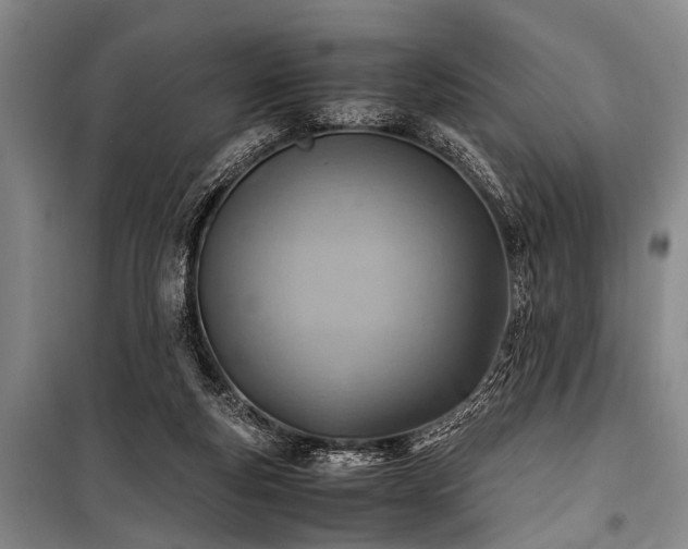 X0000101190163200806271325