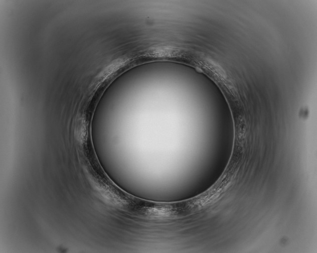 X0000101190164200806271325