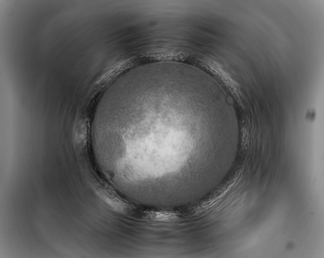 X0000101190165200806271325