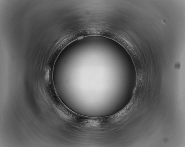 X0000101190166200806271325