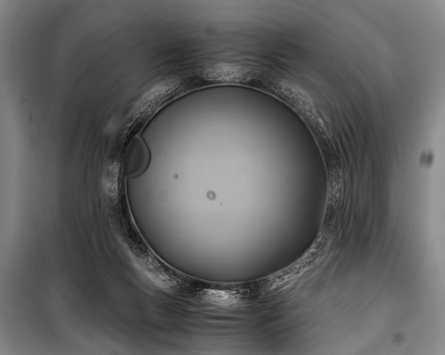 X0000101190167200806271325