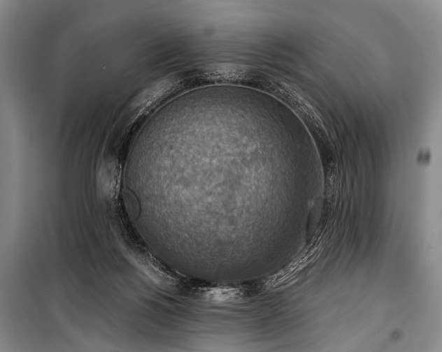 X0000101190168200806271325