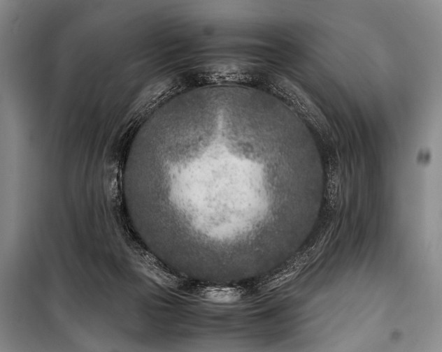X0000101190169200806271325