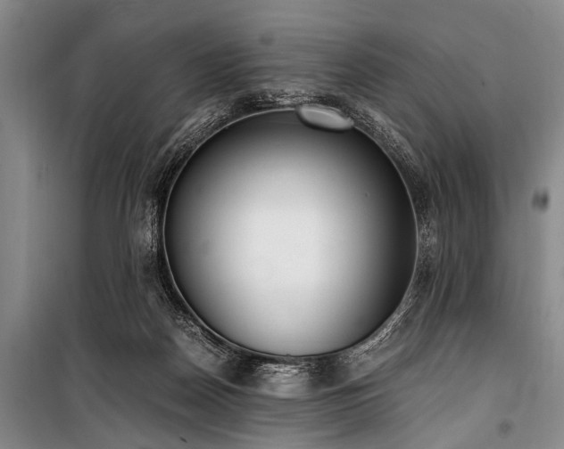 X0000101190170200806271325