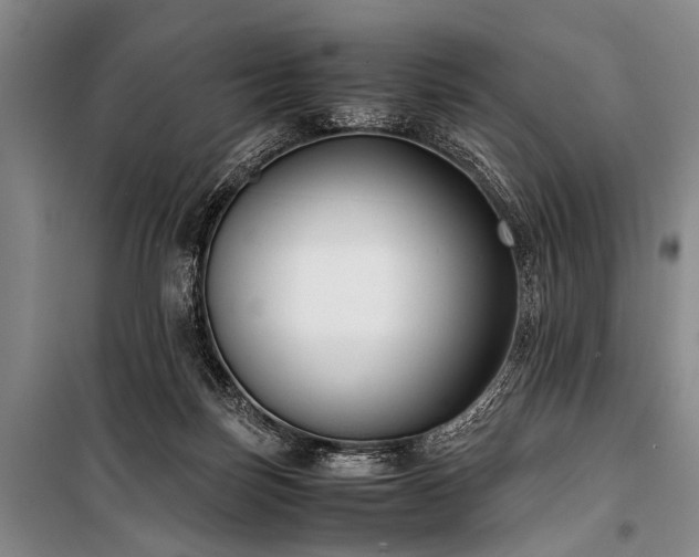X0000101190171200806271325
