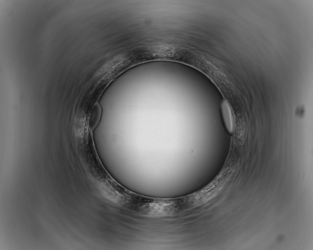 X0000101190172200806271325