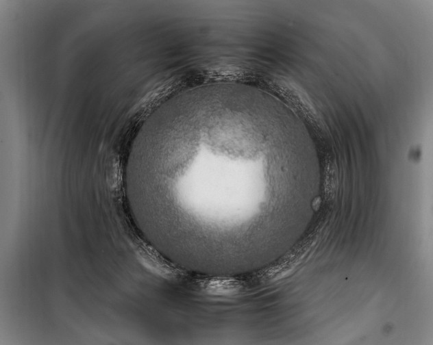 X0000101190173200806271325
