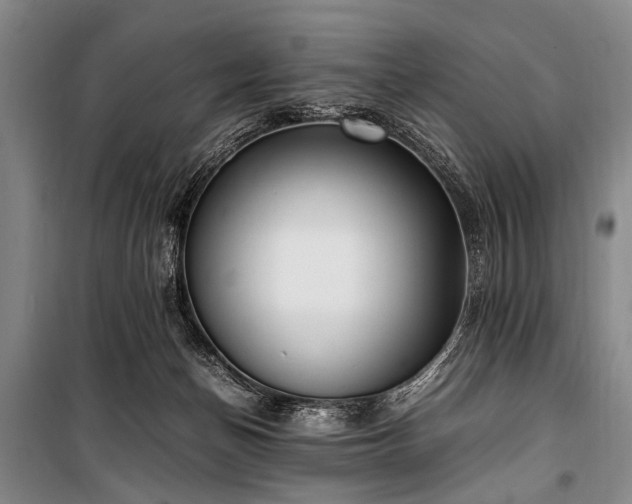 X0000101190174200806271325