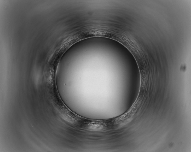 X0000101190175200806271325