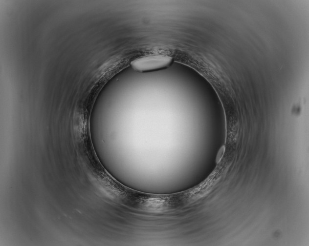 X0000101190176200806271325