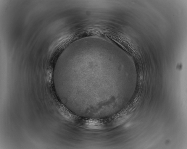 X0000101190177200806271325