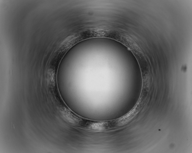 X0000101190178200806271325