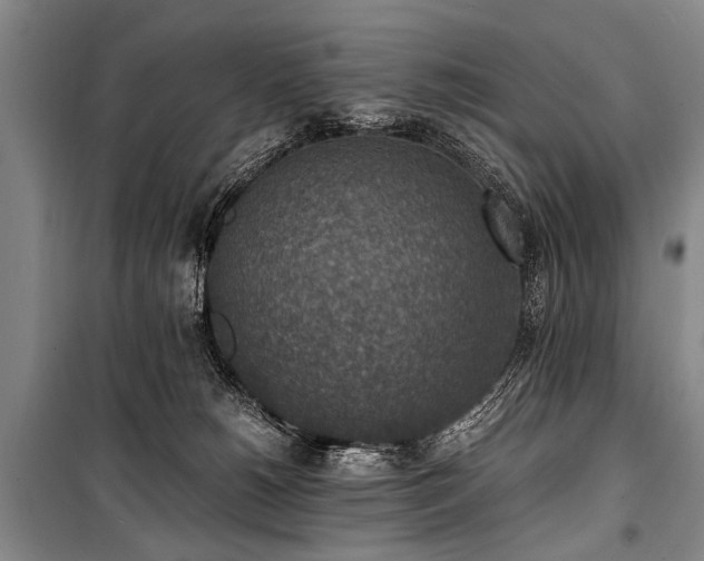 X0000101190180200806271325