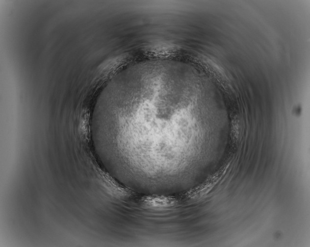 X0000101190181200806271325