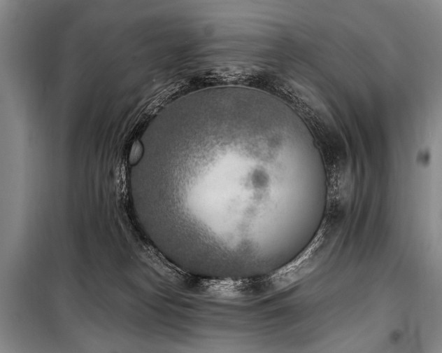 X0000101190182200806271325