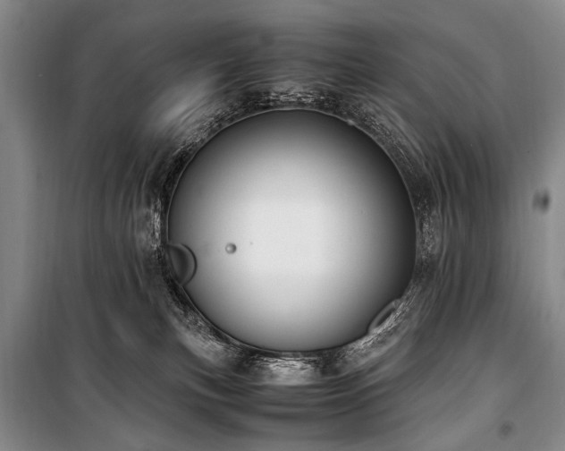 X0000101190183200806271325