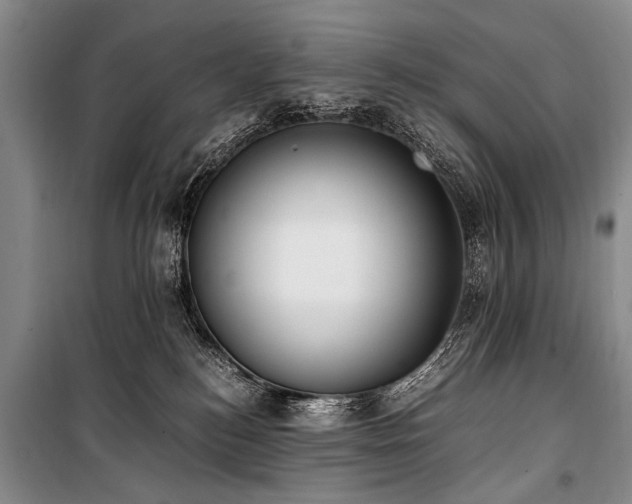 X0000101190184200806271325