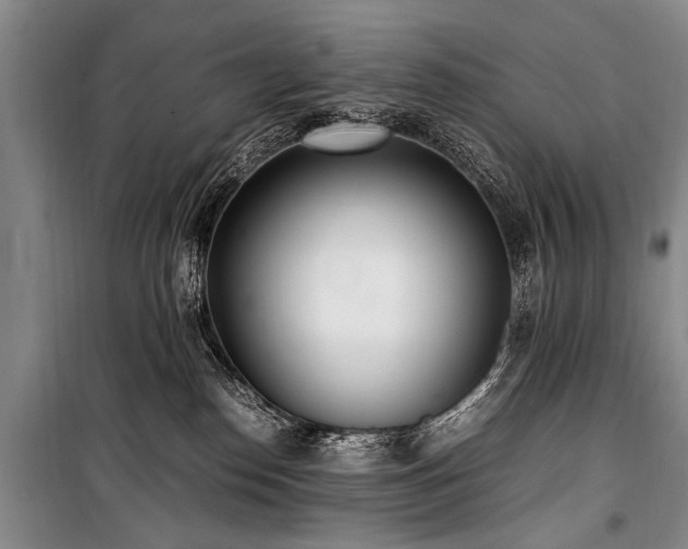 X0000101190186200806271325