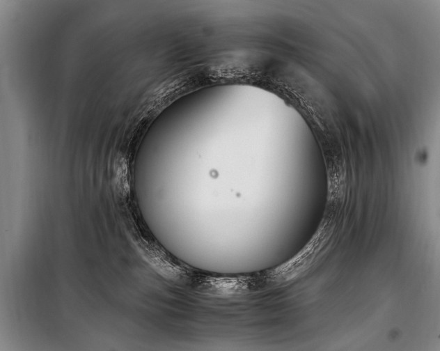 X0000101190187200806271325