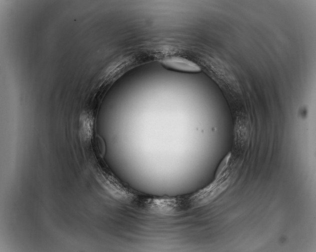 X0000101190188200806271325