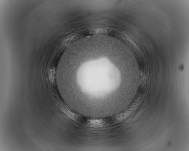 X0000101190189200806271325