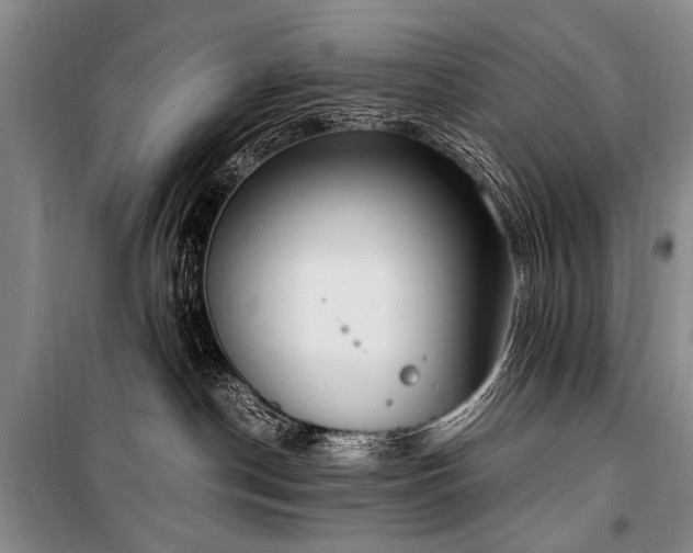 X0000101190190200806271325