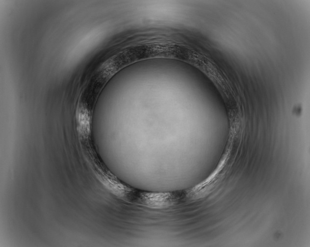 X0000101190191200806271325