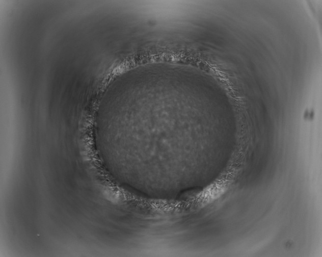 X0000101190192200806271325