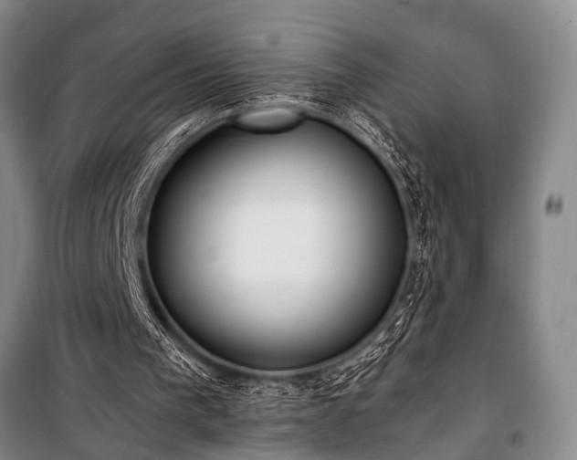 X0000101190193200806271324
