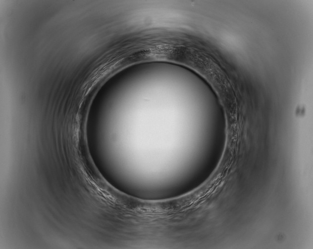 X0000101190194200806271324