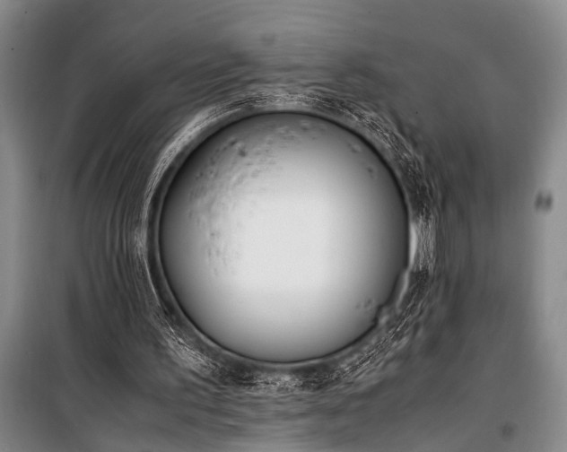 X0000101190195200806271324