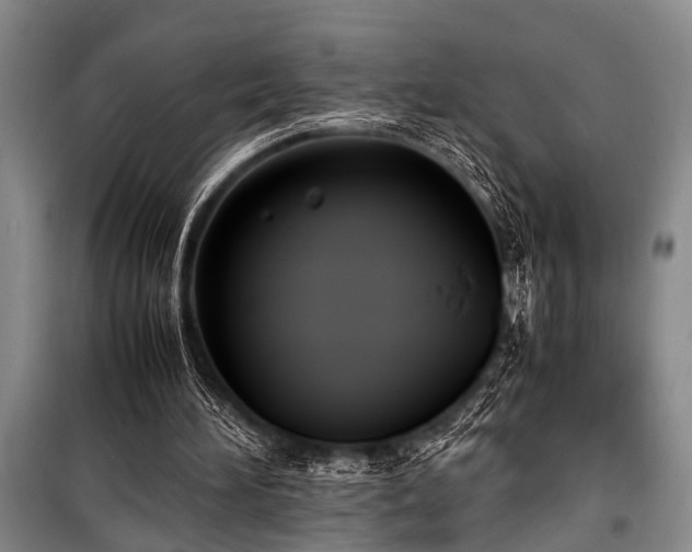 X0000101190196200806271324