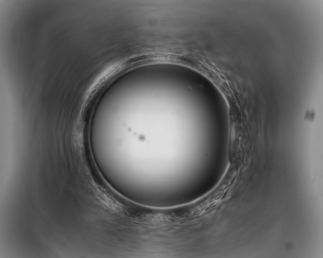 X0000101190197200806271324