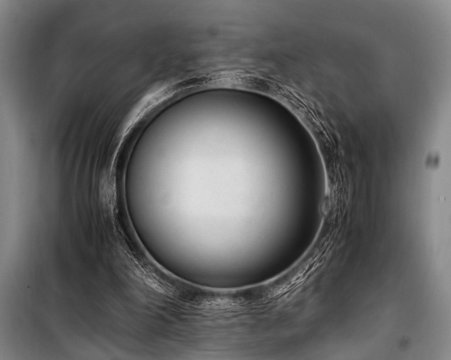 X0000101190198200806271324