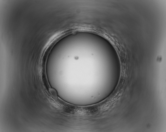 X0000101190199200806271324