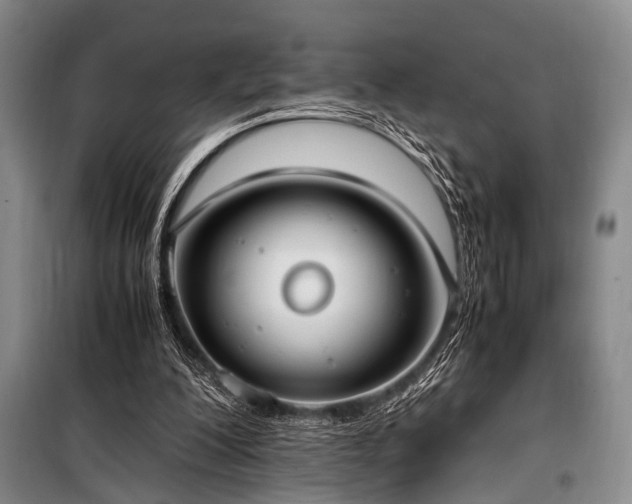 X0000101190200200806271324