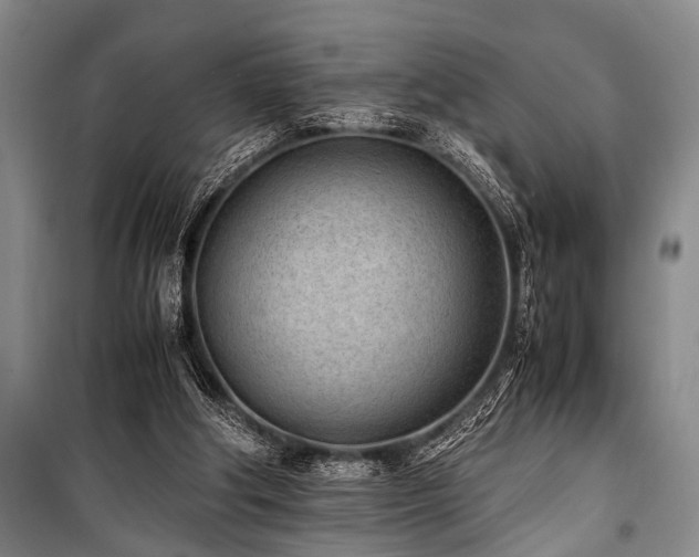 X0000101190202200806271324