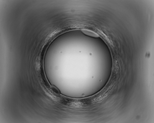 X0000101190203200806271324